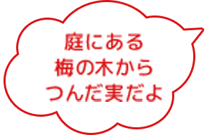 庭にある梅の木からつんだ実だよ